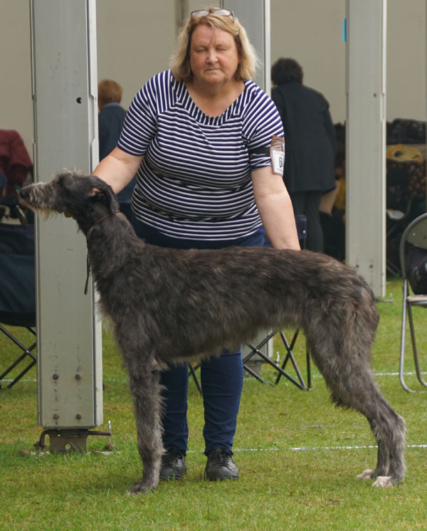 Cotherstone Serenade at Kaleginy